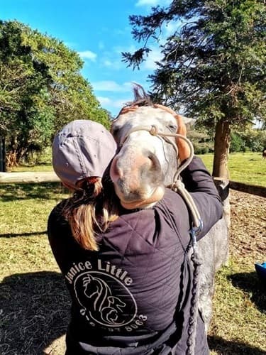 Janice Little Equine Veterinary Physiotherapy